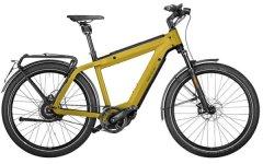 Kategorie E-Bike 45 km/h R&M
