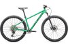 Specialized Rockhopper Expert GLOSS ELECTRIC GREEN / DARK MOSS GREEN L - 29